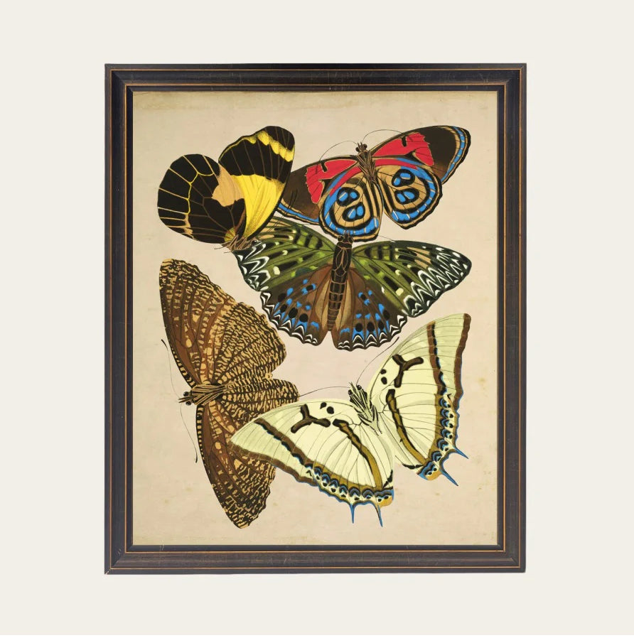 Framed artwork of four colorful butterflies on a beige background