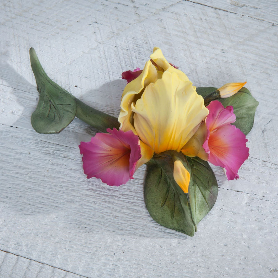 Capodimonte Porcelain Pink & Yellow Iris