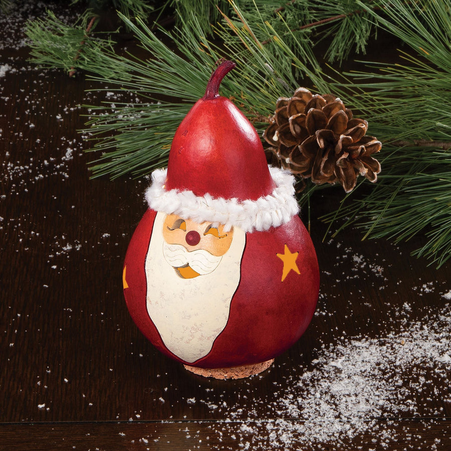 Mini Santa Claus Handcrafted Gourd