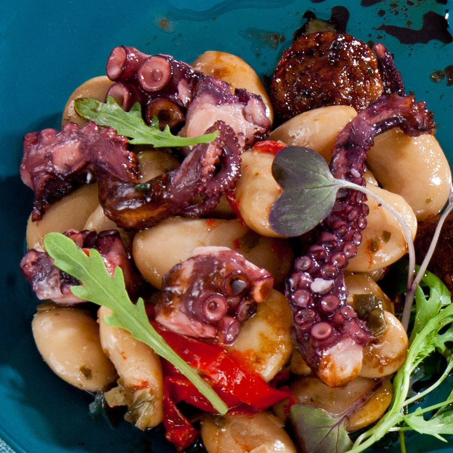 Gourmet Spanish Octopus In Olive Oil